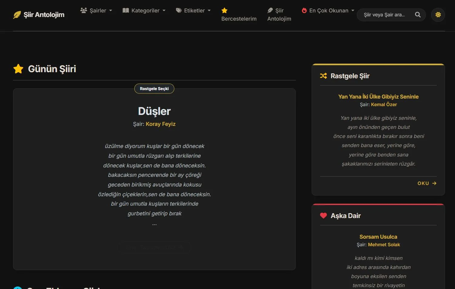 Şiir Antolojim Web Arayüz Tasarımı