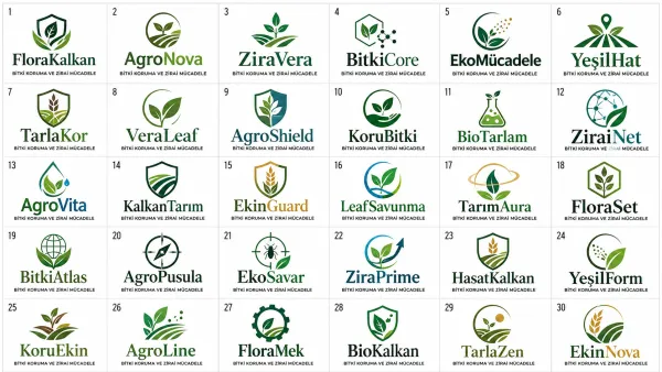 Logo Tasarım Örnekleri