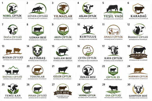 Logo Tasarım Örnekleri