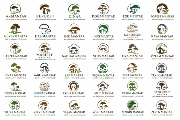 Logo Tasarım Örnekleri