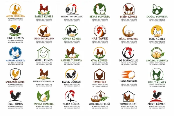 Logo Tasarım Örnekleri
