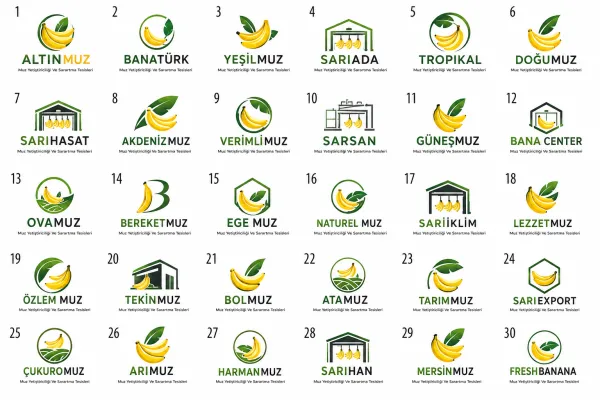 Logo Tasarım Örnekleri