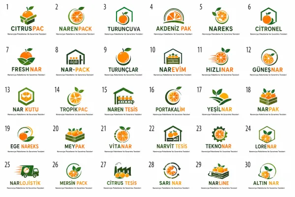 Logo Tasarım Örnekleri
