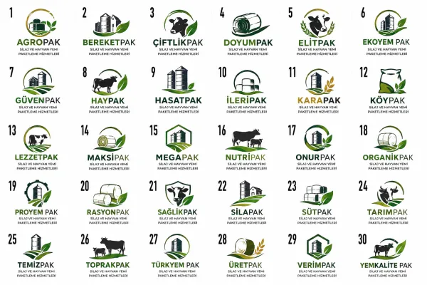 Logo Tasarım Örnekleri