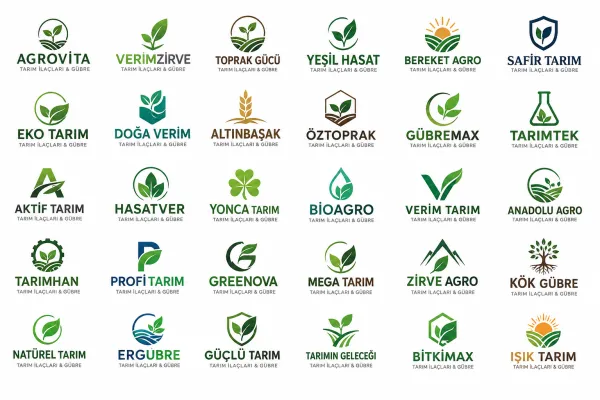 Logo Tasarım Örnekleri