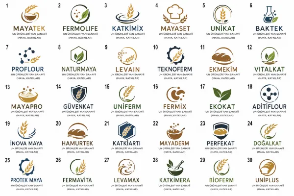 Logo Tasarım Örnekleri