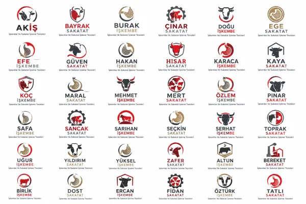 Logo Tasarım Örnekleri