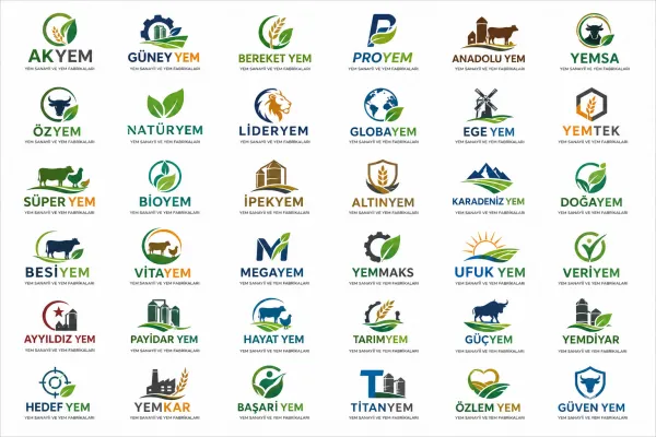 Logo Tasarım Örnekleri