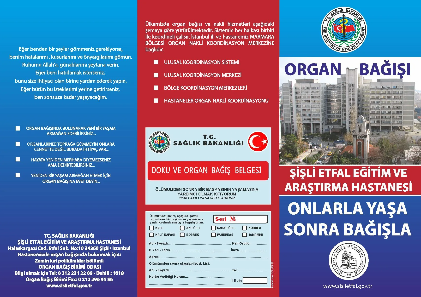 Broşür Çalışması