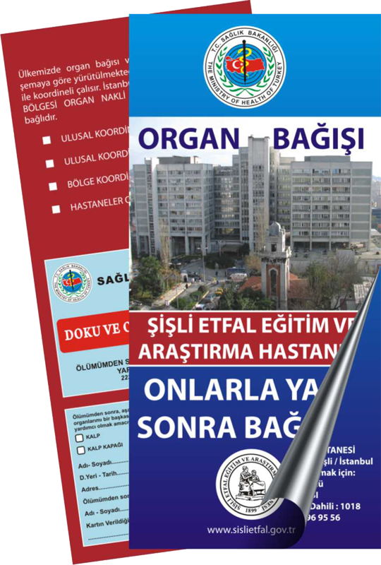 Broşür Çalışması