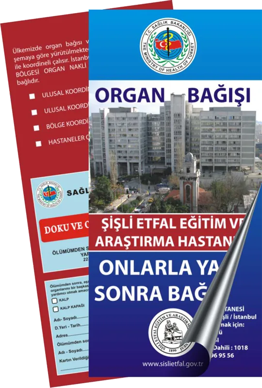 Broşür Çalışması