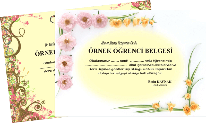 Tasarım Çalışması