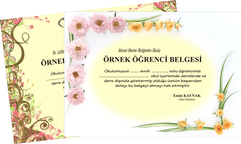 Tasarım Çalışması