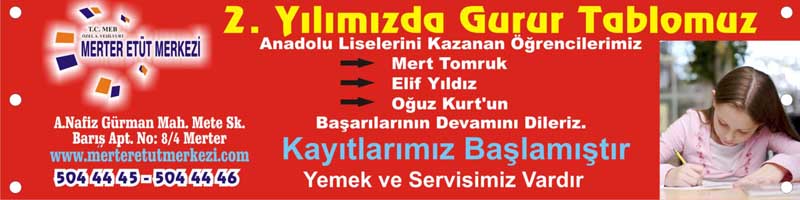 Dijital Çalışma
