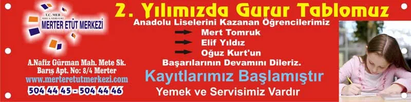 Dijital Çalışma