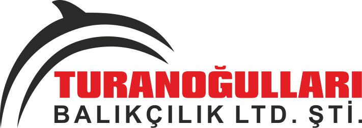 Logo Tasarımı