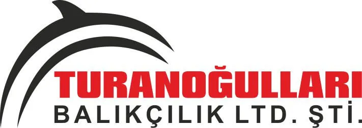 Logo Tasarımı